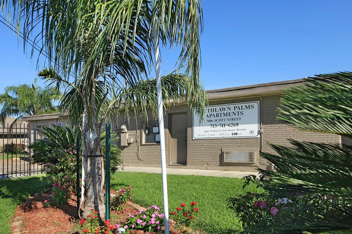 South Lawn Palms