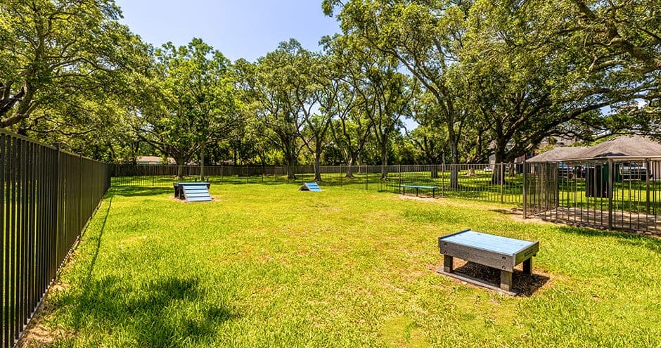 Trinity Oaks photo 2