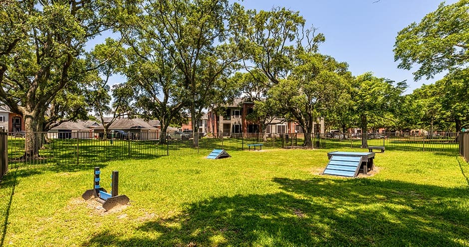 Trinity Oaks photo 3