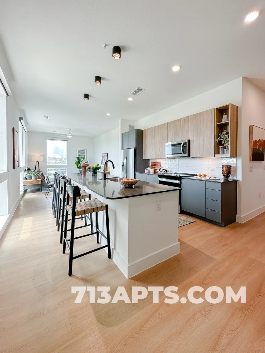 Houston apartment kitchen