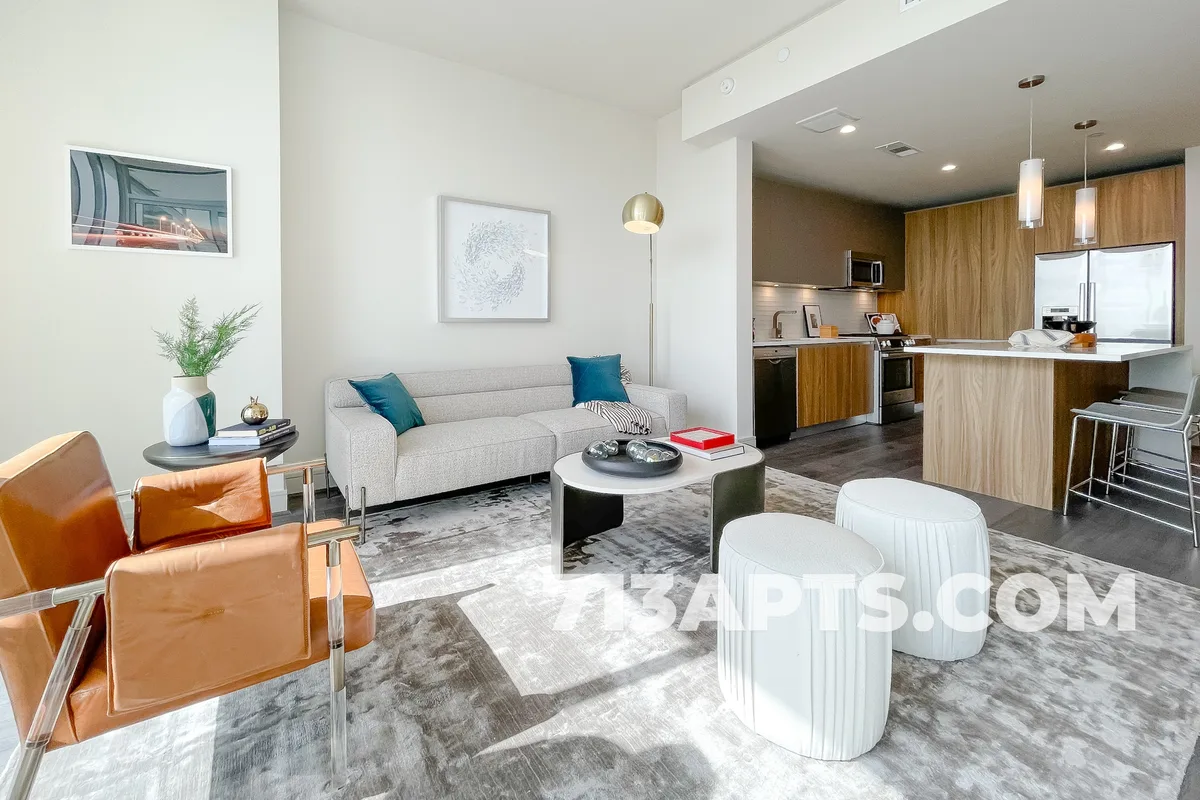 Houston apartment living room