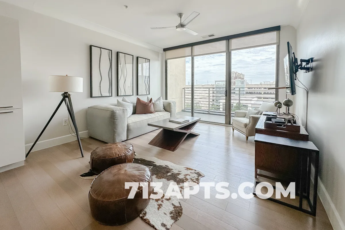Houston apartment living room